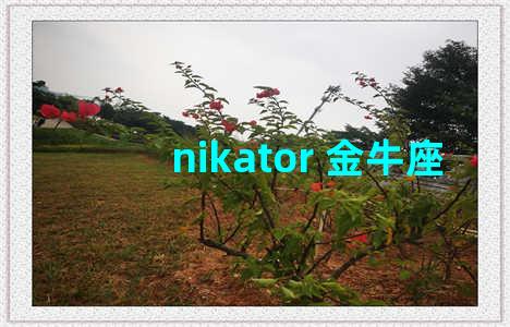 nikator 金牛座